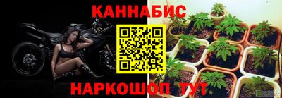герыч Тула