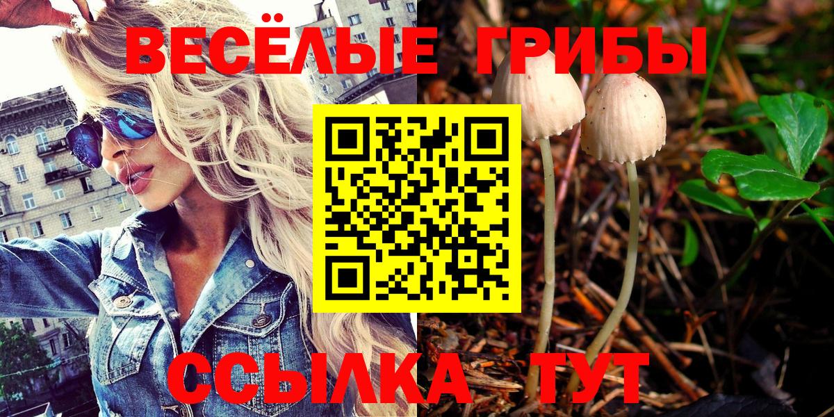 Отрадный  Галлюциногенные грибы прущие грибы  Вход с VPN 
